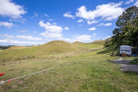 Photo of property in 821 Tariki Road, Ratapiko, Inglewood, 4390