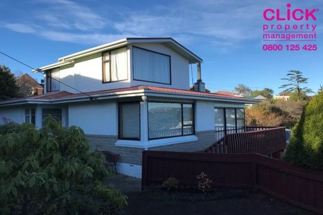 Photo of property in 48 Evans Street, Opoho, Dunedin, 9010