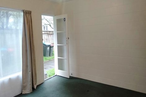 Photo of property in 25a Te Kawa Road, Greenlane, Auckland, 1061