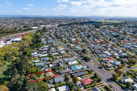 Photo of property in 105 Rimu Street, Maeroa, Hamilton, 3200