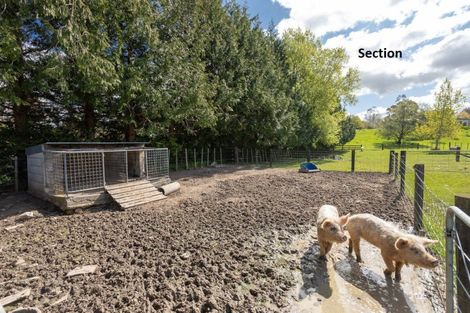 Photo of property in 60 Princess Street, Dannevirke, 4930