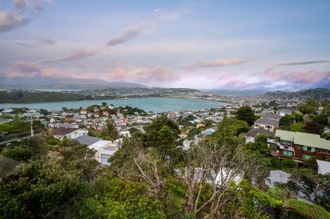 Photo of property in 53 Marewa Road, Hataitai, Wellington, 6021