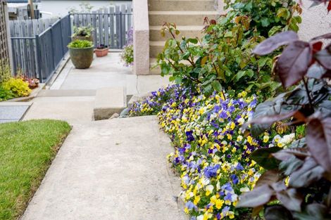 Photo of property in 108 Ravenswood Road, Saint Clair, Dunedin, 9012