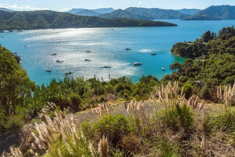 Photo of property in 124 Port Underwood Road, Waikawa, Picton, 7281