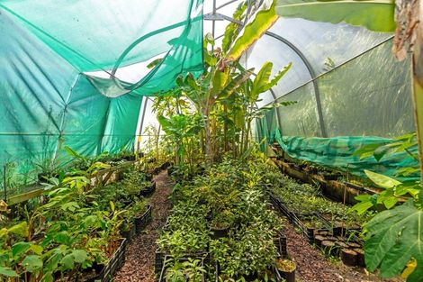 Photo of property in 210 Darwin Road, Outer Kaiti, Gisborne, 4010