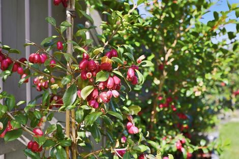 Photo of property in 2 Kutukutu Street, Takanini, 2112