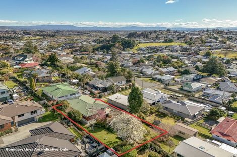Photo of property in 29 Linley Terrace, Judea, Tauranga, 3110