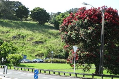 Photo of property in 27 Edwin Street, Mount Eden, Auckland, 1024