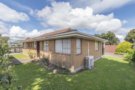 Photo of property in 22b Bunnythorpe Road, Papakura, 2110