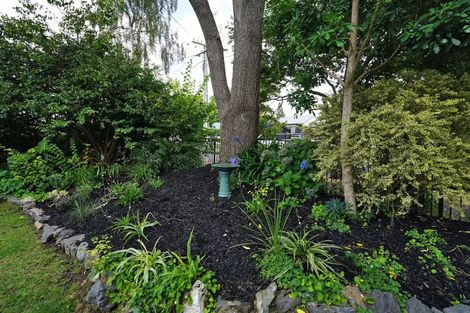 Photo of property in 47 Queenwood Avenue, Queenwood, Hamilton, 3210