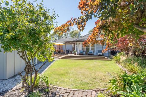 Photo of property in 4 Hillsborough Terrace, Hillsborough, Christchurch, 8022