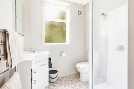 Photo of property in 41 Littlebourne Road, Roslyn, Dunedin, 9010