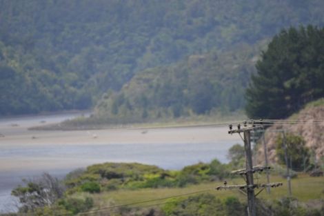 Photo of property in 59 North Street, Mokau, 4376