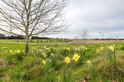Photo of property in 229 Waihao Back Road, Waimate, 7979