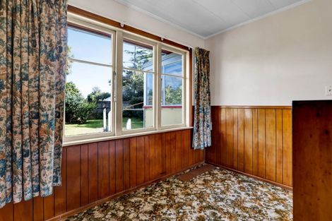 Photo of property in 13 Brecon Road, Stratford, 4332