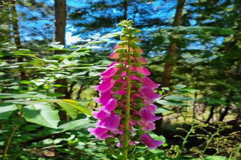 Photo of property in 17 Torquay Terrace, Hanmer Springs, 7334