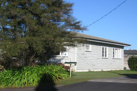 Photo of property in 20a Ranfurly Avenue, Fairfield, Hamilton, 3214