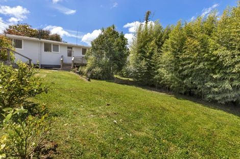 Photo of property in 11 Bickerstaffe Road, Maungaturoto, 0520