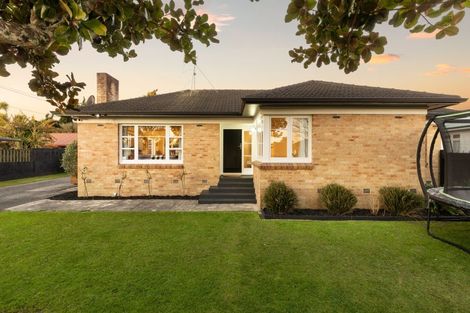 Photo of property in 20 Hobson Street, Maeroa, Hamilton, 3200