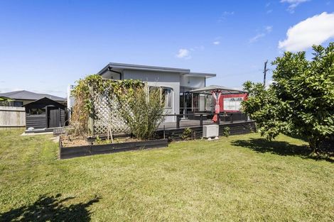 Photo of property in 49 Overdale Road, Putaruru, 3411