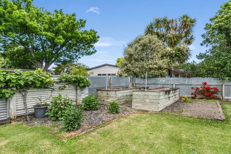 Photo of property in 22 Snowdon Avenue, Terrace End, Palmerston North, 4410