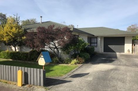 Photo of property in 98b Limbrick Street, Terrace End, Palmerston North, 4410