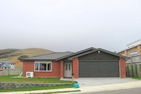 Photo of property in 19 Cedarwood Street, Woodridge, Wellington, 6037