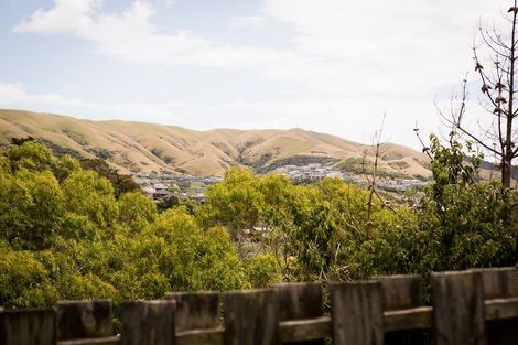Photo of property in 19 Wingfield Place, Churton Park, Wellington, 6037