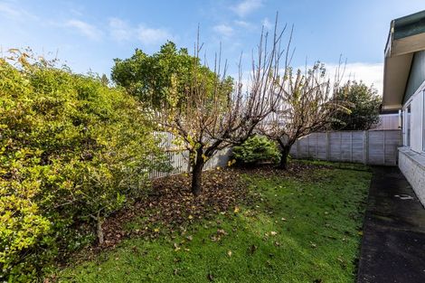 Photo of property in 228 Kennedy Road, Onekawa, Napier, 4110