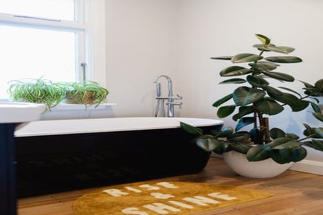 Photo of property in 43 Melrose Street, Roslyn, Dunedin, 9010