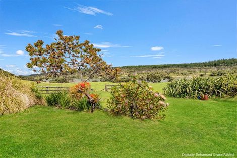 Photo of property in 487 Wilson Road, South Head, Helensville, 0874