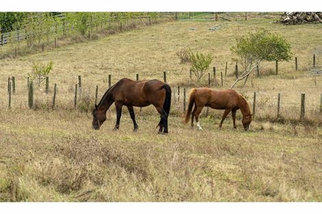 Photo of property in 51 Drinnan Road, Waitoki, Kaukapakapa, 0871