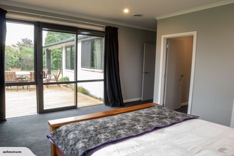 Photo of property in 845 Frontier Road, Pirongia, Te Awamutu, 3876