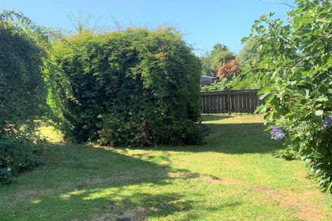 Photo of property in 31 Kensington Place, Fairfield, Hamilton, 3214