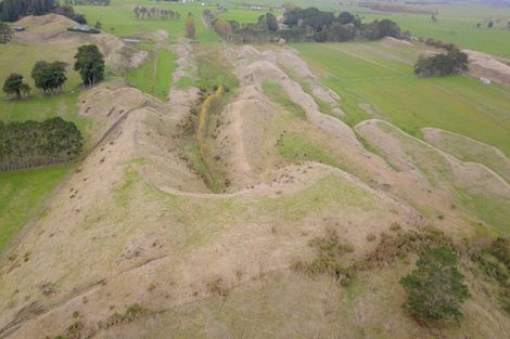 Photo of property in 338 Foxton Shannon Road, Foxton, 4893