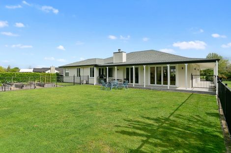 Photo of property in 1 Cliftondell Close, Matamata, 3400