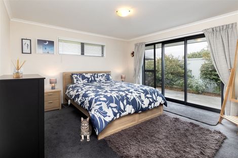 Photo of property in 257 Scott Street, Redwoodtown, Blenheim, 7201