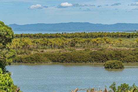 Photo of property in 12 Pureora Place, Clendon Park, Auckland, 2103