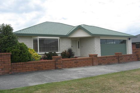 Photo of property in 133 Warwick Street, Feilding, 4702