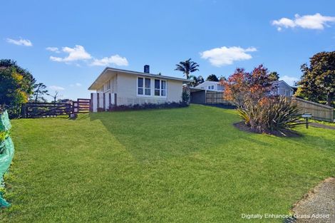 Photo of property in 45 Totara Street, Waiuku, 2123