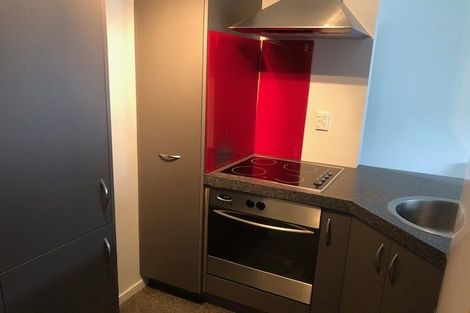 Photo of property in 50a Willoughby Street, Whitiora, Hamilton, 3200