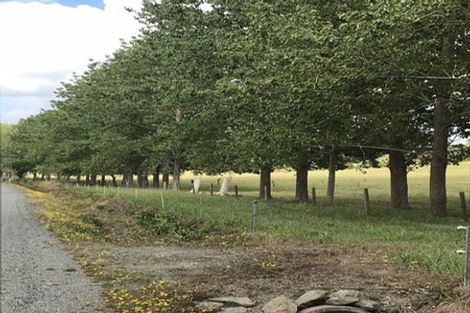 Photo of property in 130 Carruth Road, Poroti, Whangarei, 0179