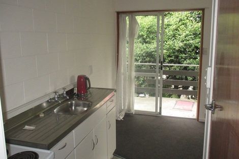 Photo of property in 17 Myrtle Street, Hamilton East, Hamilton, 3216