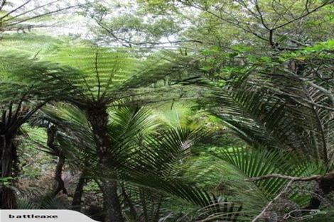 Photo of property in 304 School Road, Waimauku, 0881