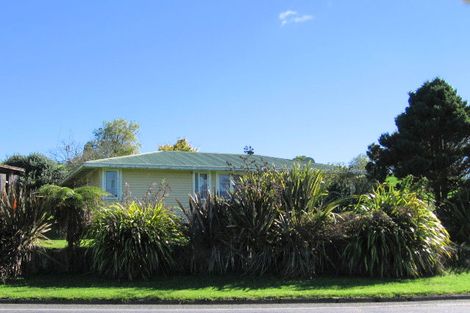 Photo of property in 161 Arapuni Street, Putaruru, 3411