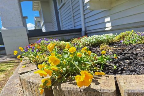 Photo of property in 187 Crawford Road, Kaiti, Gisborne, 4010