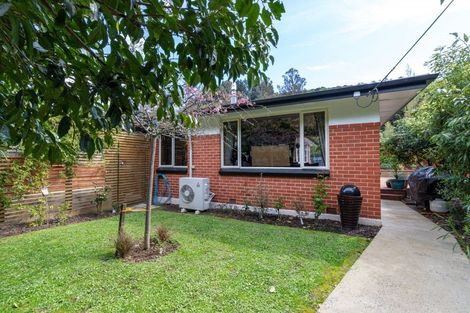 Photo of property in 93 Norwood Street, Normanby, Dunedin, 9010