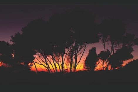 Photo of property in 132 Lone Kauri Road, Karekare, New Lynn, 0772