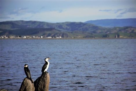 Photo of property in 99 Waghorne Street, Ahuriri, Napier, 4110