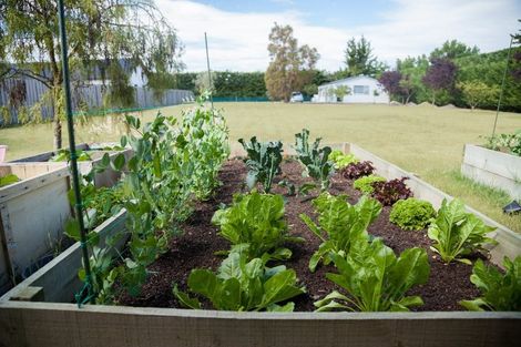 Photo of property in 159d Lowes Road, Rolleston, 7614